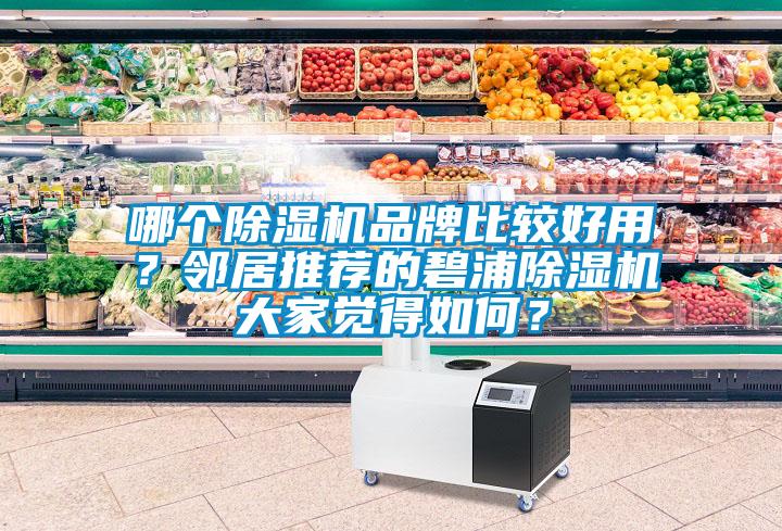 哪個(gè)除濕機(jī)品牌比較好用？鄰居推薦的碧浦除濕機(jī)大家覺(jué)得如何？