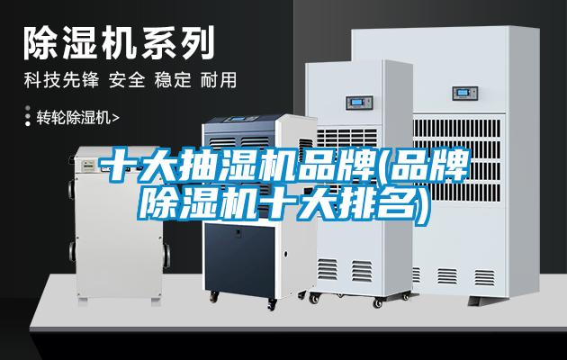 十大抽濕機(jī)品牌(品牌除濕機(jī)十大排名)