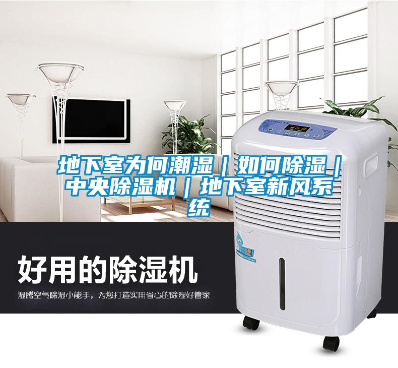 地下室為何潮濕｜如何除濕｜中央除濕機｜地下室新風系統