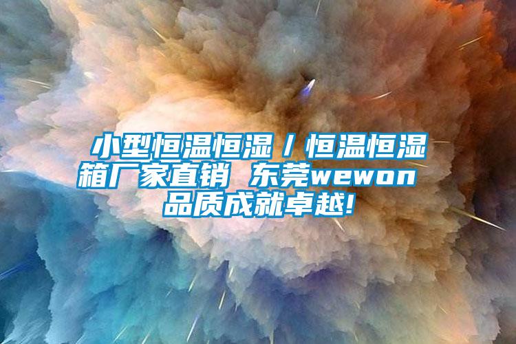 小型恒溫恒濕／恒溫恒濕箱廠家直銷 東莞wewon 品質(zhì)成就卓越!