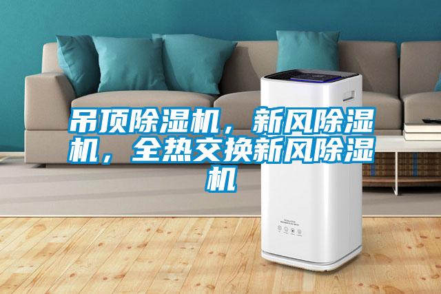 吊頂除濕機，新風除濕機，全熱交換新風除濕機