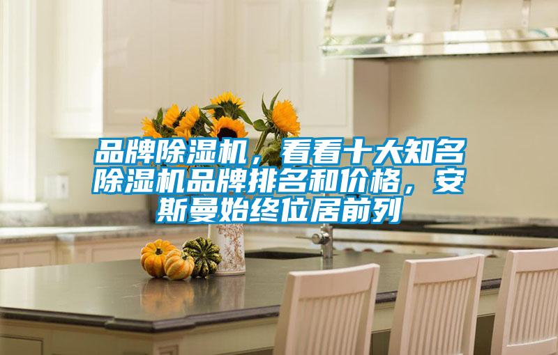 品牌除濕機，看看十大知名除濕機品牌排名和價格，安斯曼始終位居前列