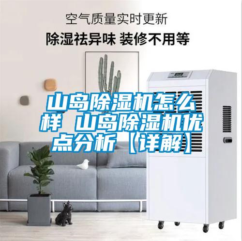 山島除濕機(jī)怎么樣 山島除濕機(jī)優(yōu)點(diǎn)分析【詳解】