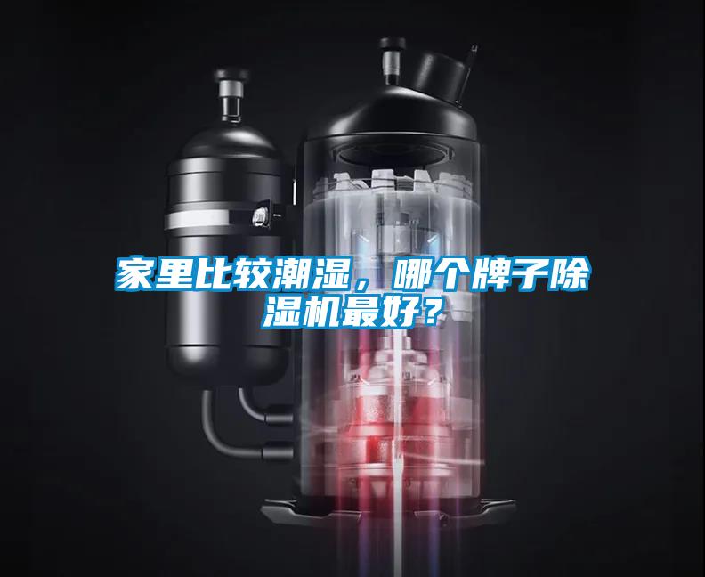 家里比較潮濕，哪個(gè)牌子除濕機(jī)最好？