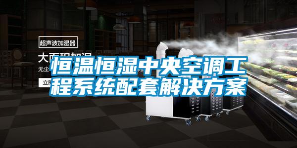 恒溫恒濕中央空調(diào)工程系統(tǒng)配套解決方案