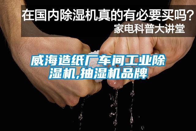 威海造紙廠車間工業除濕機,抽濕機品牌