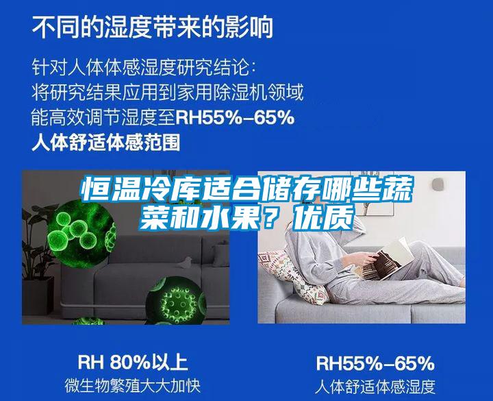 恒溫冷庫適合儲存哪些蔬菜和水果？優質