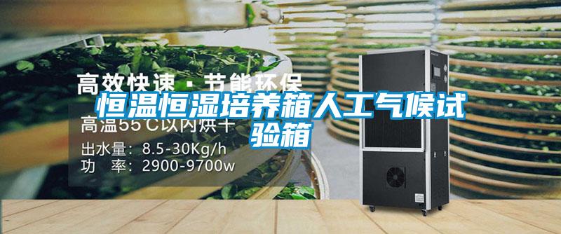 恒溫恒濕培養(yǎng)箱人工氣候試驗箱