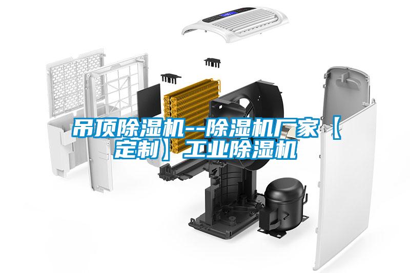 吊頂除濕機--除濕機廠家【定制】工業除濕機