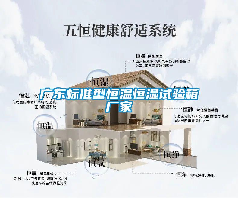 廣東標(biāo)準(zhǔn)型恒溫恒濕試驗箱廠家