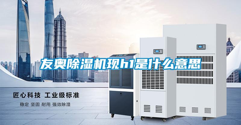 友奧除濕機現(xiàn)h1是什么意思