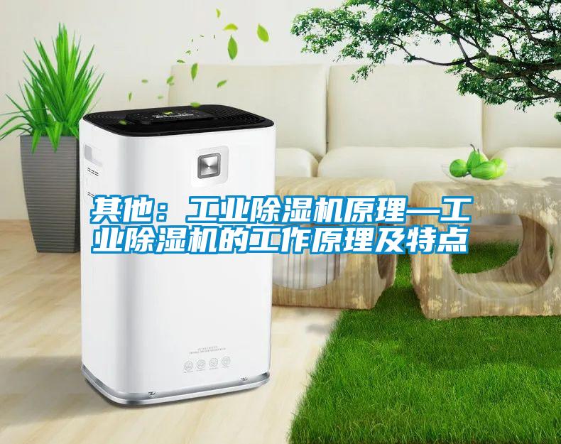 其他：工業除濕機原理—工業除濕機的工作原理及特點