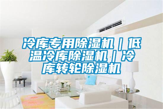 冷庫專用除濕機｜低溫冷庫除濕機｜冷庫轉(zhuǎn)輪除濕機
