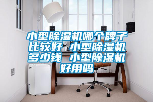 小型除濕機(jī)哪個牌子比較好 小型除濕機(jī)多少錢 小型除濕機(jī)好用嗎