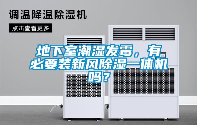 地下室潮濕發霉，有必要裝新風除濕一體機嗎？