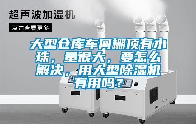 大型倉庫車間棚頂有水珠，量很大，要怎么解決，用大型除濕機(jī)有用嗎？