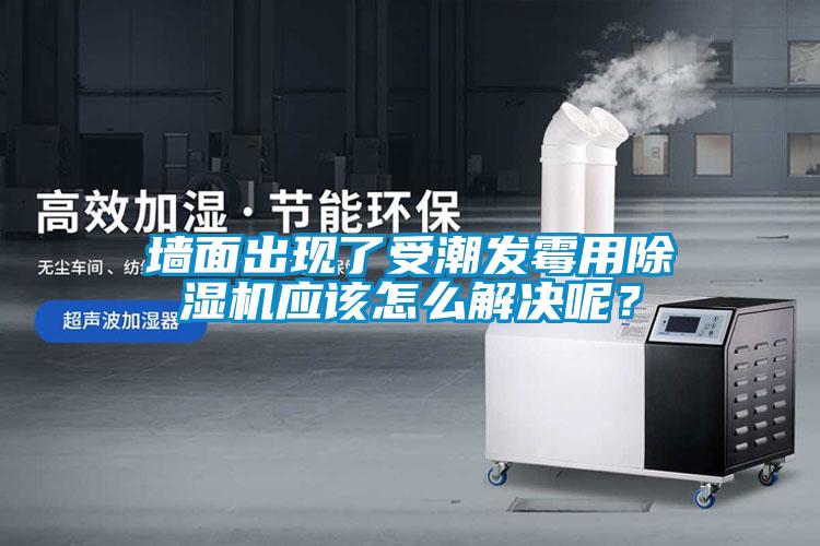 墻面出現(xiàn)了受潮發(fā)霉用除濕機(jī)應(yīng)該怎么解決呢？