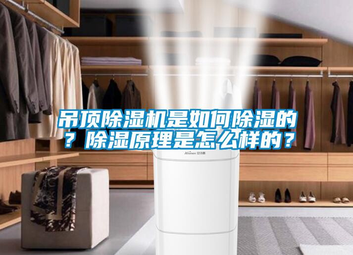 吊頂除濕機(jī)是如何除濕的？除濕原理是怎么樣的？
