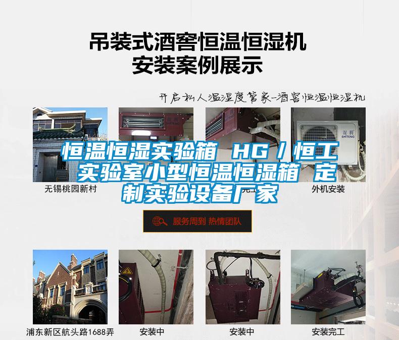 恒溫恒濕實驗箱 HG／恒工 實驗室小型恒溫恒濕箱 定制實驗設備廠家
