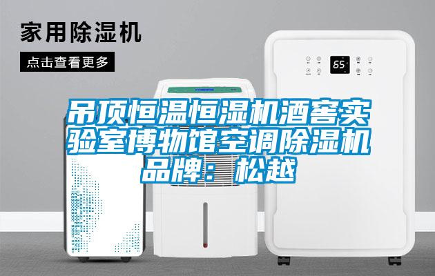 吊頂恒溫恒濕機(jī)酒窖實(shí)驗(yàn)室博物館空調(diào)除濕機(jī)品牌：松越