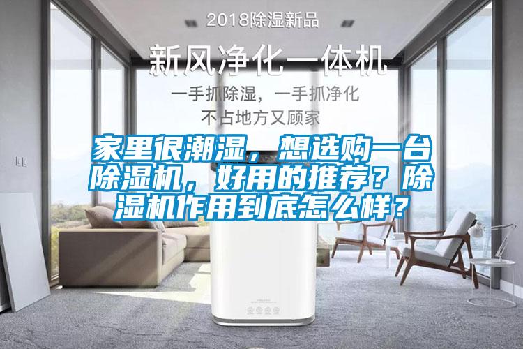 家里很潮濕，想選購(gòu)一臺(tái)除濕機(jī)，好用的推薦？除濕機(jī)作用到底怎么樣？
