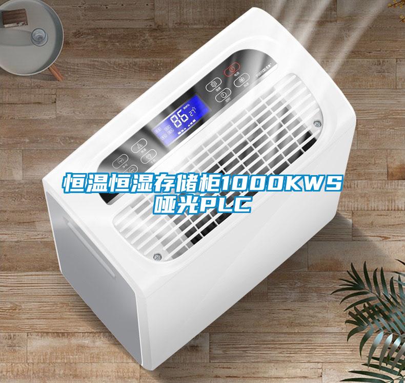 恒溫恒濕存儲(chǔ)柜1000KWS啞光PLC