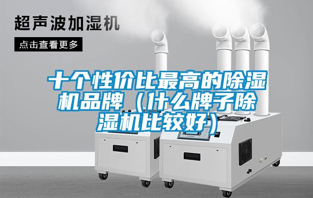 十個性價比最高的除濕機(jī)品牌（什么牌子除濕機(jī)比較好）