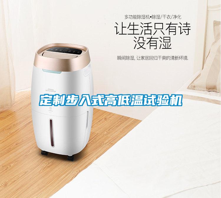 定制步入式高低溫試驗(yàn)機(jī)