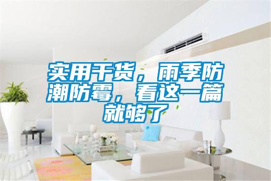 實用干貨，雨季防潮防霉，看這一篇就夠了