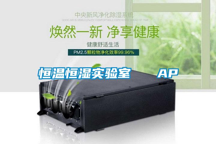 恒溫恒濕實(shí)驗(yàn)室   AP