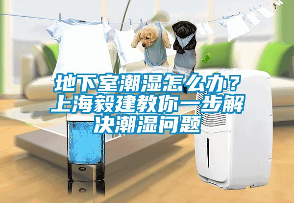 地下室潮濕怎么辦？上海毅建教你一步解決潮濕問題