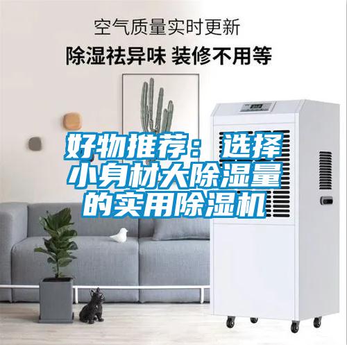 好物推薦：選擇小身材大除濕量的實(shí)用除濕機(jī)