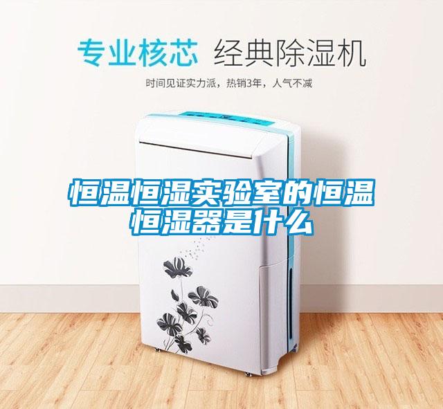 恒溫恒濕實驗室的恒溫恒濕器是什么