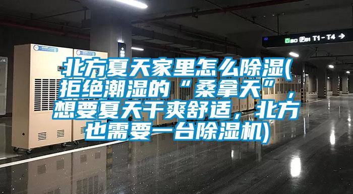 北方夏天家里怎么除濕(拒絕潮濕的“桑拿天”，想要夏天干爽舒適，北方也需要一臺除濕機)