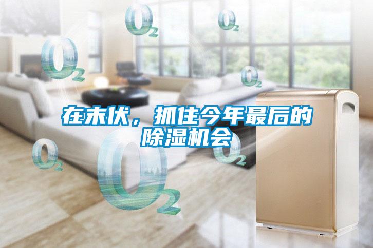 在末伏，抓住今年最后的除濕機會