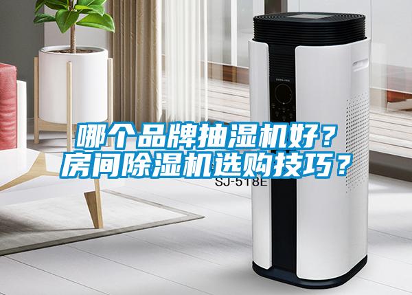 哪個品牌抽濕機(jī)好？房間除濕機(jī)選購技巧？