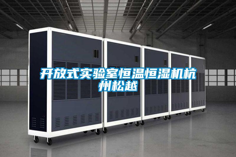 開(kāi)放式實(shí)驗(yàn)室恒溫恒濕機(jī)杭州松越
