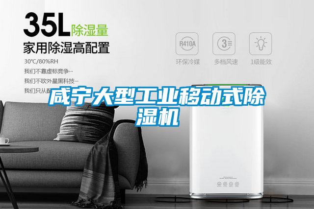咸寧大型工業移動式除濕機