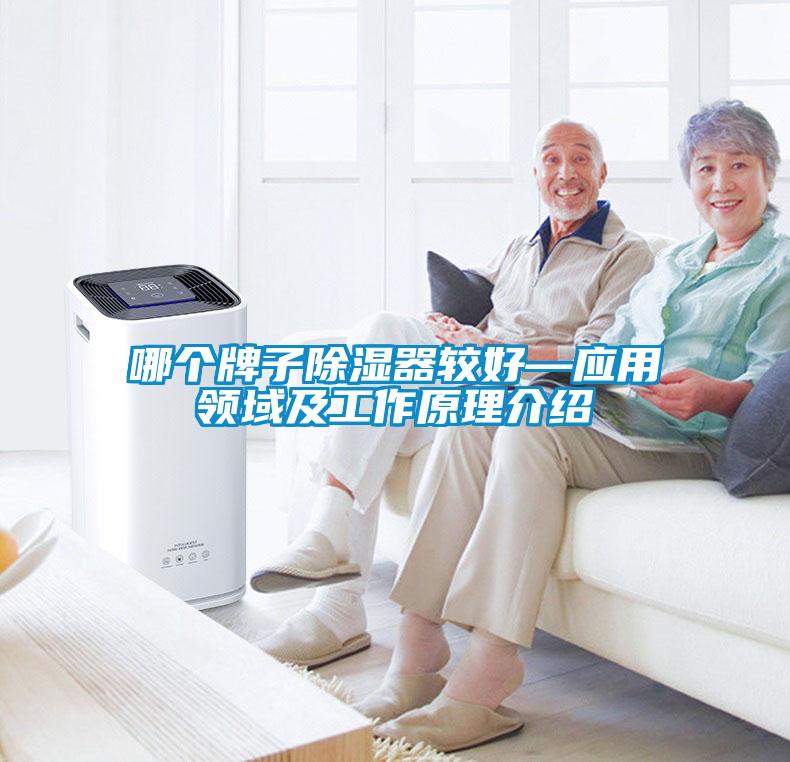 哪個(gè)牌子除濕器較好—應(yīng)用領(lǐng)域及工作原理介紹