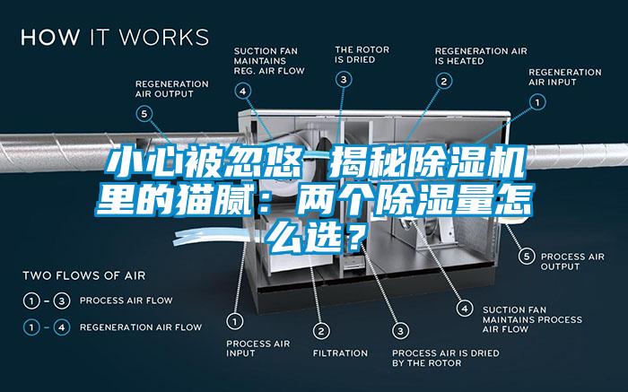 小心被忽悠 揭秘除濕機里的貓膩：兩個除濕量怎么選？