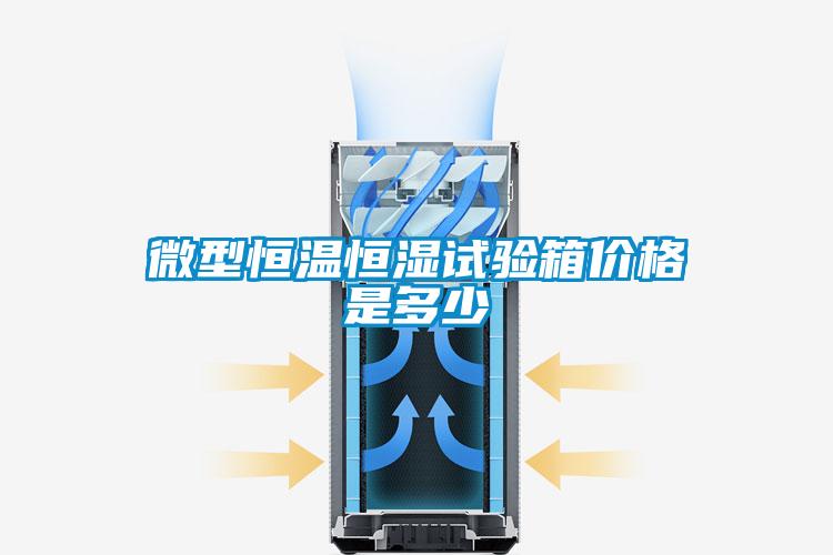 微型恒溫恒濕試驗(yàn)箱價(jià)格是多少