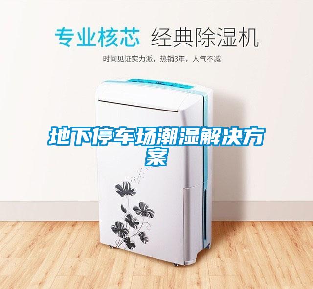 地下停車場(chǎng)潮濕解決方案