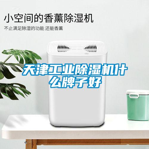 天津工業除濕機什么牌子好