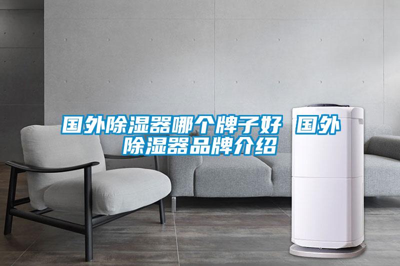 國外除濕器哪個牌子好 國外除濕器品牌介紹