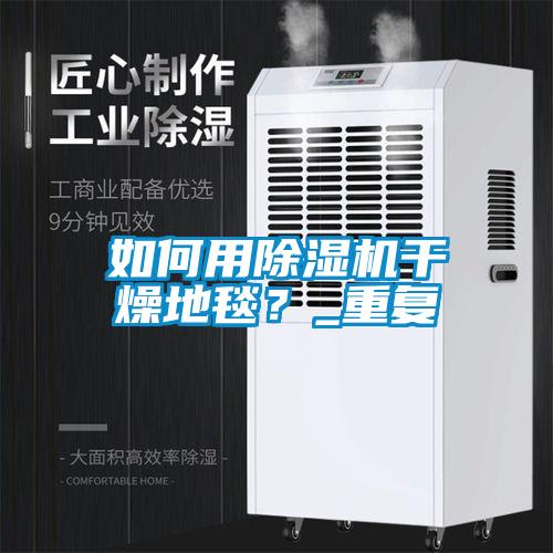 如何用除濕機干燥地毯？_重復