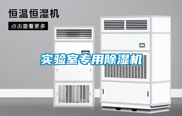 實(shí)驗(yàn)室專用除濕機(jī)