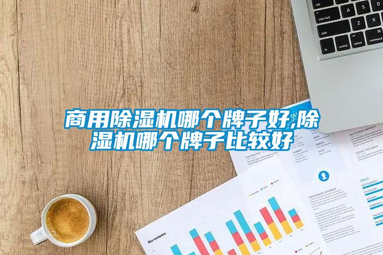商用除濕機(jī)哪個牌子好,除濕機(jī)哪個牌子比較好