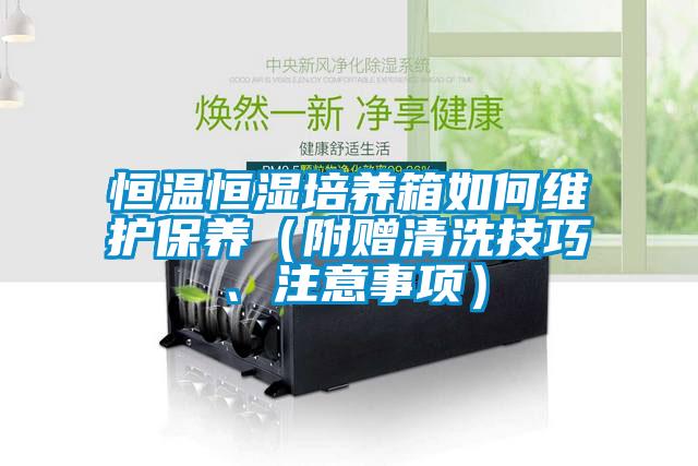 恒溫恒濕培養箱如何維護保養（附贈清洗技巧、注意事項）