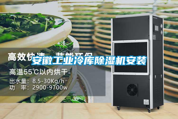 安徽工業(yè)冷庫除濕機(jī)安裝