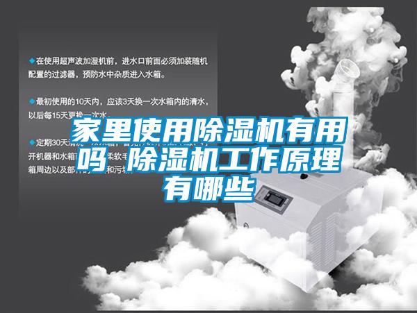 家里使用除濕機(jī)有用嗎 除濕機(jī)工作原理有哪些
